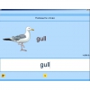 Английский язык. Освоение клавиатуры - «globural.ru» - Иркутск