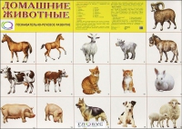 Демонстрационные карточки "Домашние животные" - «globural.ru» - Иркутск