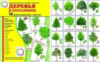 Демонстрационные карточки "Деревья и кустарники" - «globural.ru» - Иркутск