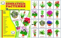 Демонстрационные карточки "Комнатные растения" - «globural.ru» - Иркутск