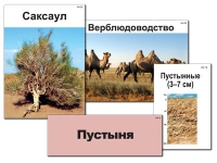 Модель-аппликация "Природные зоны России" - «globural.ru» - Иркутск