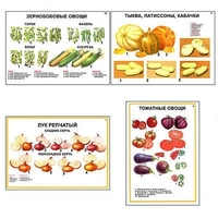 Плакаты ПРОФТЕХ "Ассортимент овощных культур" (12 пл, винил, 70х100) - «globural.ru» - Иркутск