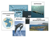 Модель-аппликация "Океаны. Знакомство" (ламинированная) - «globural.ru» - Иркутск