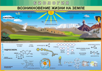 Таблица Возникновение жизни на Земле 1000*1400 винил - «globural.ru» - Иркутск