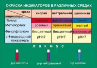 Таблица Окраска индикаторов в различных средах (винил) - «globural.ru» - Иркутск