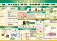 Таблица Биотические взаимоотношения организмов 1000*700 (винил) - «globural.ru» - Иркутск
