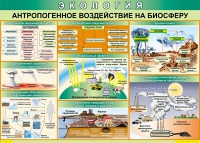 Таблица Антропогенное воздействие на биосферу 1000*700 винил - «globural.ru» - Иркутск