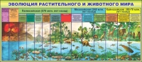 Стенд "Эволюция растительного и животного мира" - «globural.ru» - Иркутск