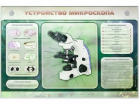 Электрифицированный стенд "Устройство микроскопа и правила работы c ним" - «globural.ru» - Иркутск