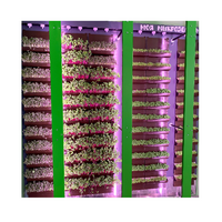 Вертикальная ферма "Моя Микрозелень" комплектация Школьная - «globural.ru» - Иркутск