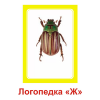 Логопедка "Ж" (логопедические карточки) - «globural.ru» - Иркутск