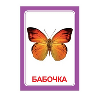 Логопедка "Ч" (логопедические карточки) - «globural.ru» - Иркутск