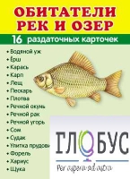 Раздаточные карточки "Обитатели рек и озер" - «globural.ru» - Иркутск