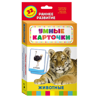 Карточки Домана "Животные" - «globural.ru» - Иркутск
