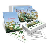 Комбинированное наглядное пособие «Растения» - «globural.ru» - Иркутск