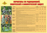 Плакат "Нормативы по радиационной, химической и биологической защите" - «globural.ru» - Иркутск