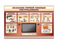 Многофункциональный интерактивный стенд-тренажер "Оказание первой помощи пострадавшим" для учащихся общеобразовательных учреждений - «globural.ru» - Иркутск