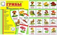 Демонстрационные карточки  "Грибы съедобные и не съедобные" - «globural.ru» - Иркутск