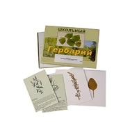 Гербарий "Лекарственные растения" (22 вида, с иллюстрациями) - «globural.ru» - Иркутск