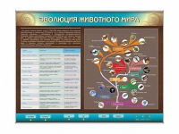 Интерактивный электрифицированный стенд "Эволюция животного мира" - «globural.ru» - Иркутск