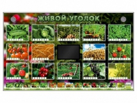 Комплект оборудования "Живой уголок" (растения) - «globural.ru» - Иркутск