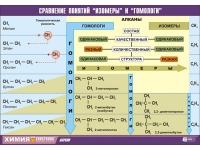Таблица демонстрационная "Сравнение понятий изомер и гомолог" (винил 100х140) - «globural.ru» - Иркутск