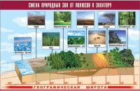 Таблица демонстрационная "Смена природных зон от полюсов к экватору" (винил 70x100) - «globural.ru» - Иркутск