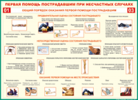  Таблица Общий порядок оказания первой помощи пострадавшим 1000*1400 винил	 - «globural.ru» - Иркутск