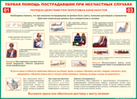 Таблица Порядок действий при переломах конечностей 1000*1400 винил - «globural.ru» - Иркутск