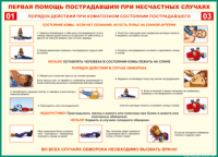Таблица Порядок действий при коматозном состоянии пострадавшего 1000*1400 винил - «globural.ru» - Иркутск