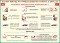 Таблица Порядок действий при ранениях и термических ожогах	 1000*1400 винил - «globural.ru» - Иркутск