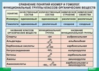Химия. Сравнение понятий изомер и гомолог. Функциональные группы классов органических веществ (винил) - «globural.ru» - Иркутск