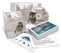 Комбинированное наглядное пособие «Животные» - «globural.ru» - Иркутск