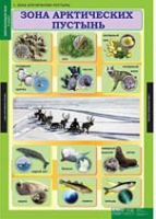 Окружающий мир 4 класс (комплект таблиц) - «globural.ru» - Иркутск