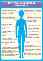 Стенд "Снятие мерок" (вариант 2) - «globural.ru» - Иркутск