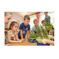 Обучающий комплект экологической направленности "Сити-фермер 2.0 Детский сад" 10 человек - «globural.ru» - Иркутск