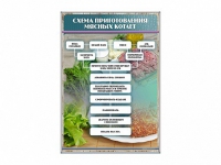Стенд "Схема приготовления мясных котлет" - «globural.ru» - Иркутск