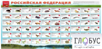 Стенд "Красная книга РФ" - «globural.ru» - Иркутск