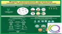 Стенд "Формы размножения организмов" - «globural.ru» - Иркутск