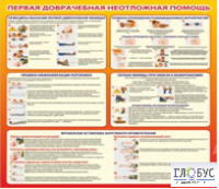 Стенд "Первая доврачебная неотложная помощь" - «globural.ru» - Иркутск