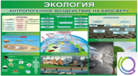 Стенд "Экология. Антропогенное воздействие на биосферу" - «globural.ru» - Иркутск