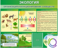 Стенд "Экология. Организация и функционирование сообществ" - «globural.ru» - Иркутск
