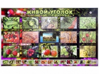 Комплект оборудования "Живой уголок" (растения) с тифлопереводом и сурдокомментариями - «globural.ru» - Иркутск