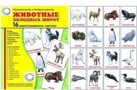Демонстрационные карточки "Животные холодных широт" - «globural.ru» - Иркутск