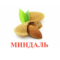 Карточки Домана "Орехи-Ягоды-2" - «globural.ru» - Иркутск