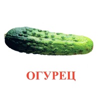 Карточки Домана "Овощи-Зелень-1" - «globural.ru» - Иркутск