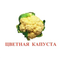 Карточки Домана "Овощи-Зелень-2" - «globural.ru» - Иркутск