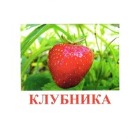 Карточки Домана "Ягоды-1" - «globural.ru» - Иркутск