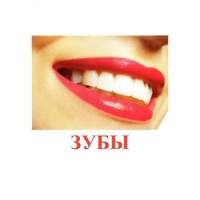 Карточки Домана "Части тела" - «globural.ru» - Иркутск