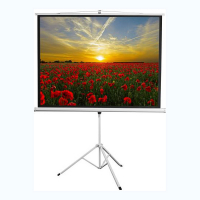Экран на штативе DSKD-4303 - «globural.ru» - Иркутск